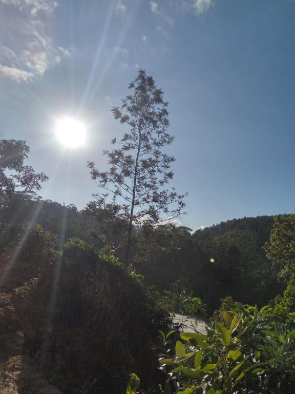 Isuru Homestay photo