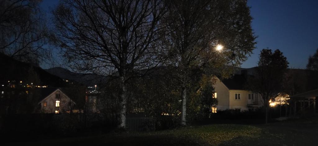 House with terrace and a big garden in centrum of Lyngseidet, Lyngseidet