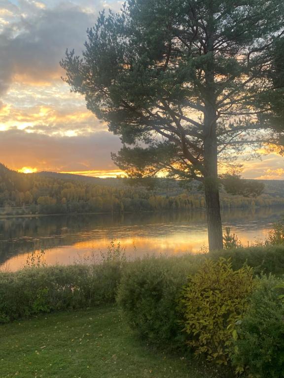 The Riverside, Undrom