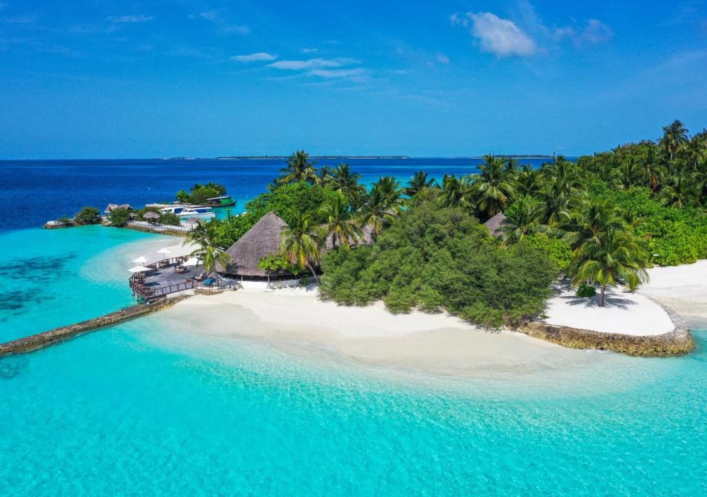 Surrounding environment