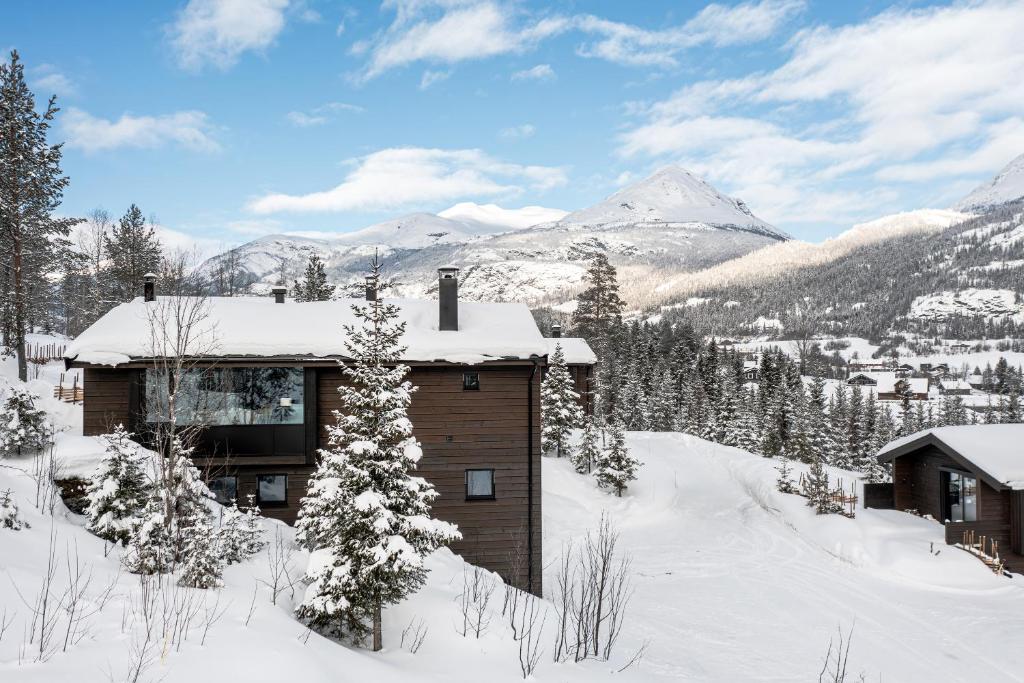 Nyørk Chalet, Hemsedal, Hemsedal