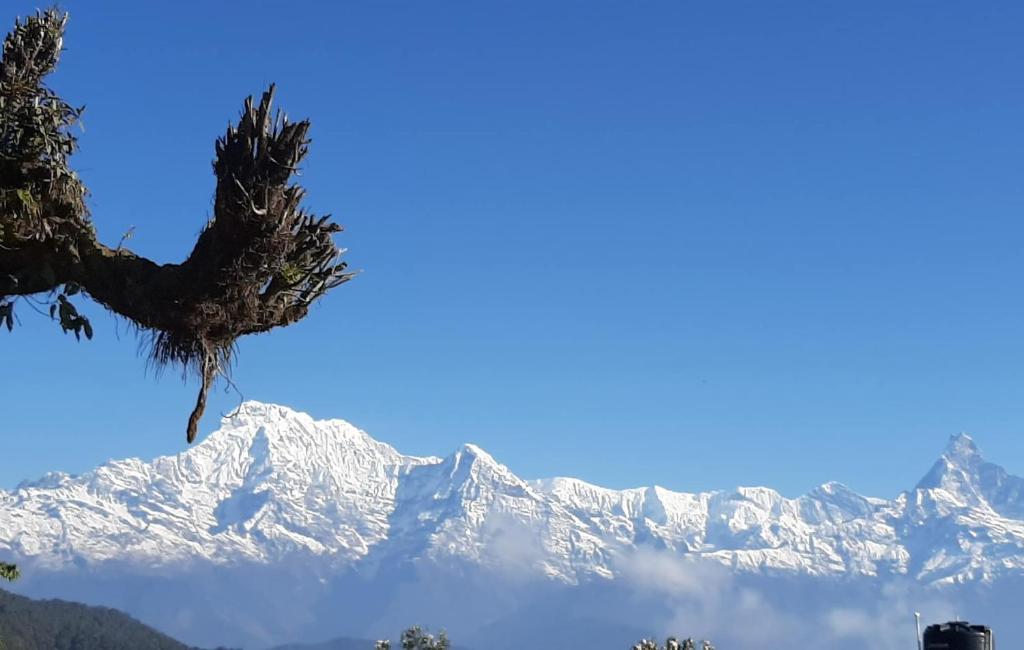 Sunset Homestay, Pokhara