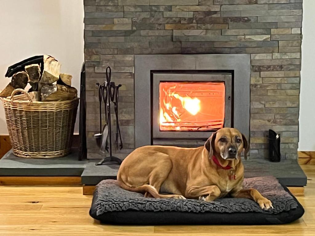 Kirkstone Lodge, Insh