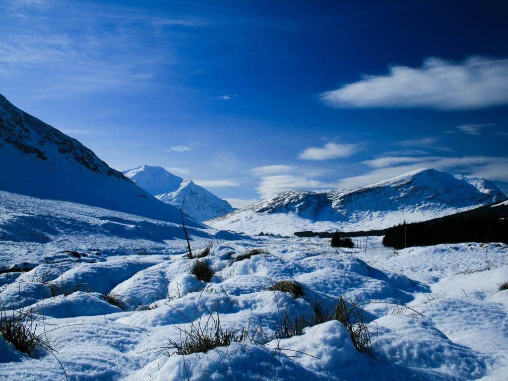 Glenbruar House photo