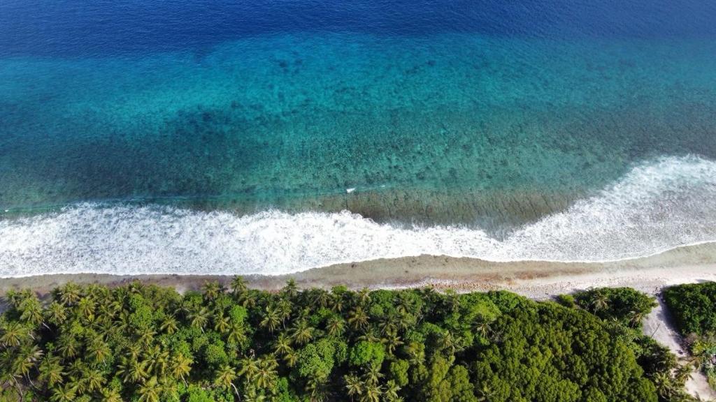 周辺観光スポット