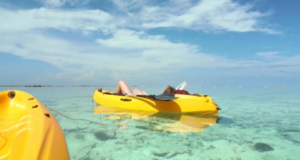 アクティビティ