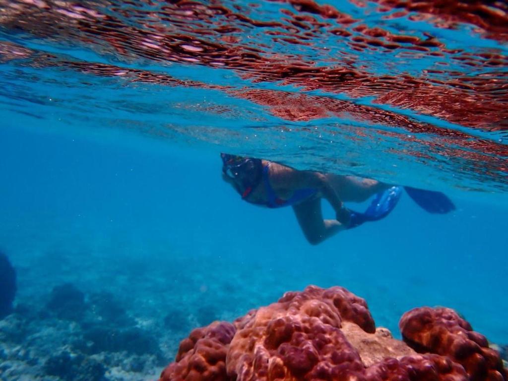 アクティビティ