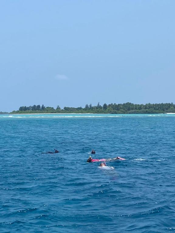 アクティビティ