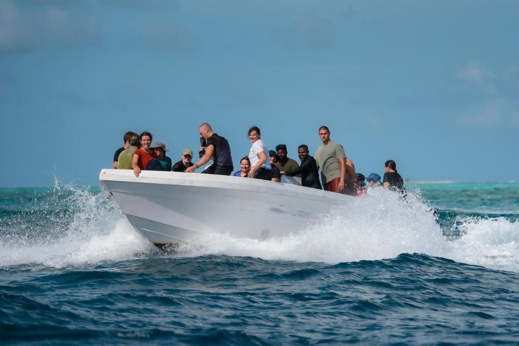 アクティビティ