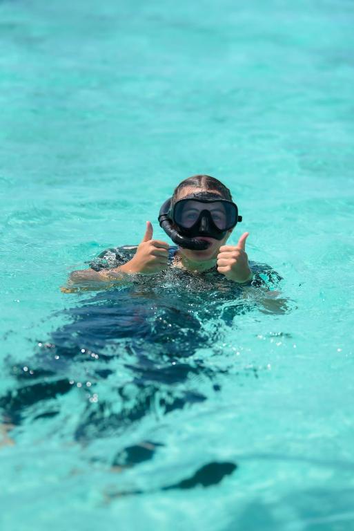 アクティビティ