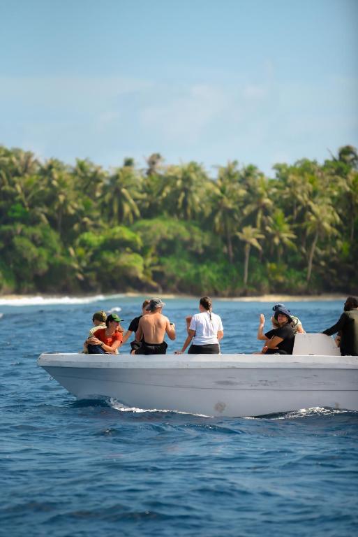 アクティビティ