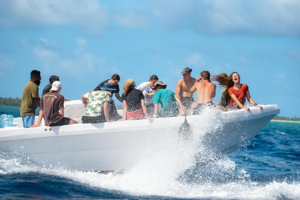 アクティビティ