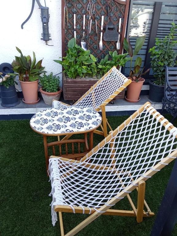 STUDIO Perpignan, Perpignan