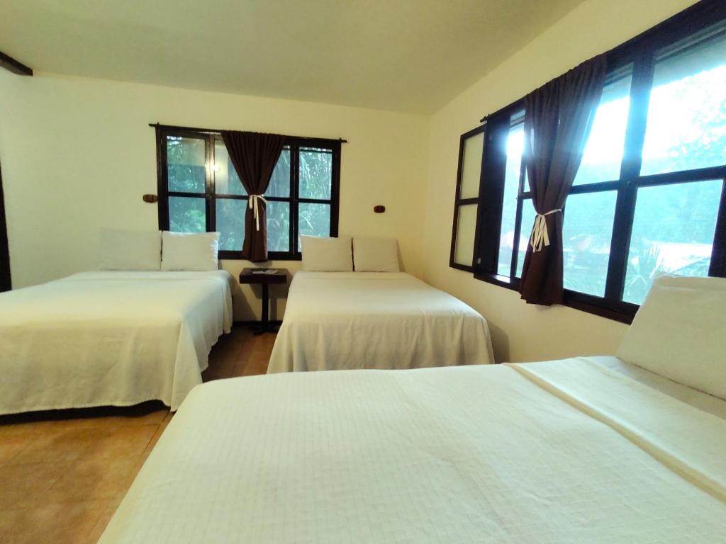 Bed in 6-Bed Mixed Dormitory Room