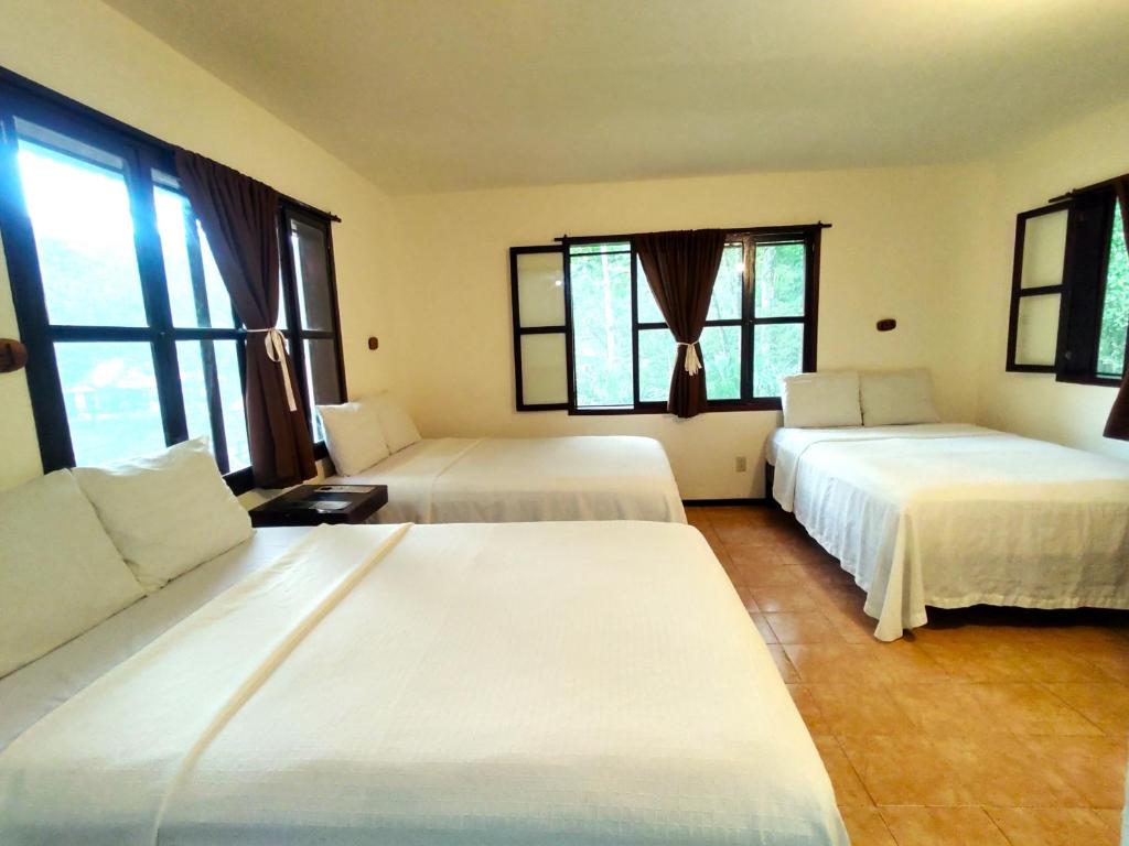 Bed in 6-Bed Mixed Dormitory Room