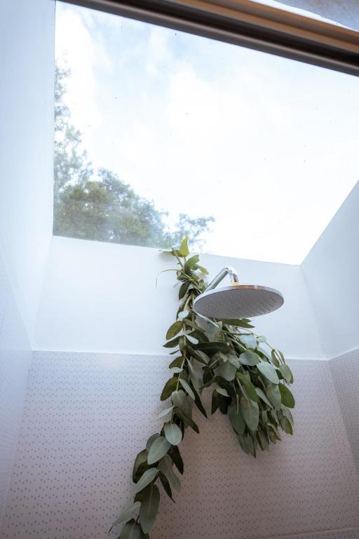 Tiny house con tina medicinal - 4