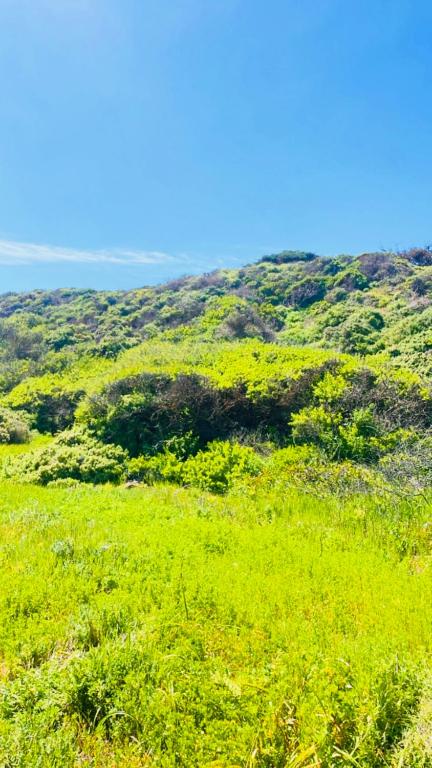 tiny house frente al mar - 4