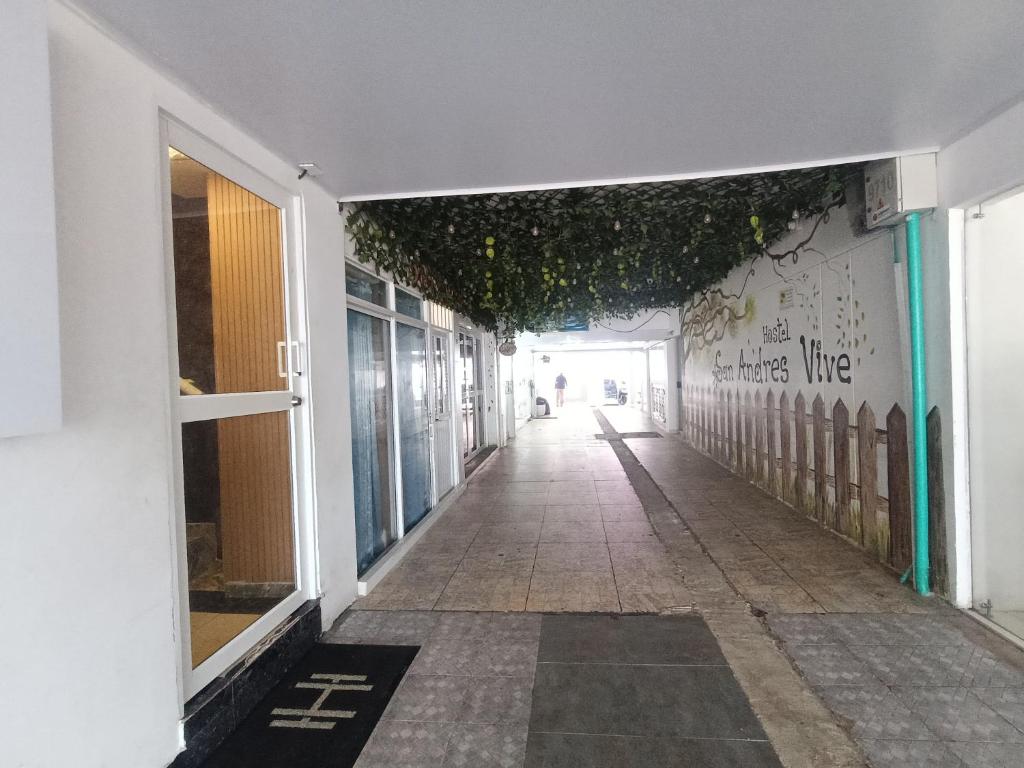 Hostal San Andres Vive - 2