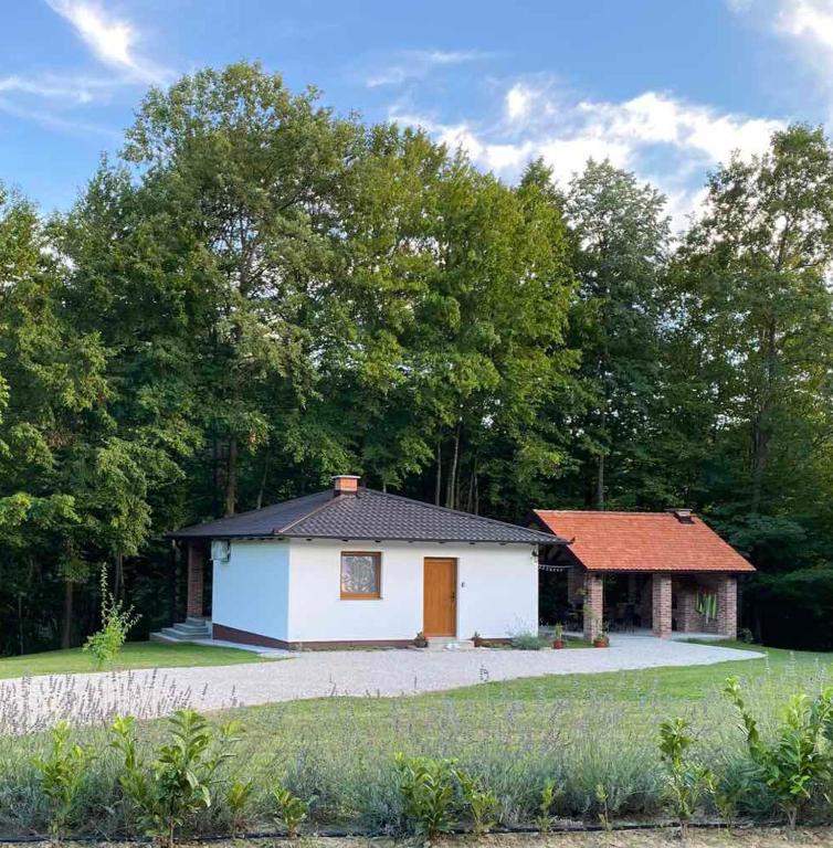 Vikendica Šššuma, Srbac