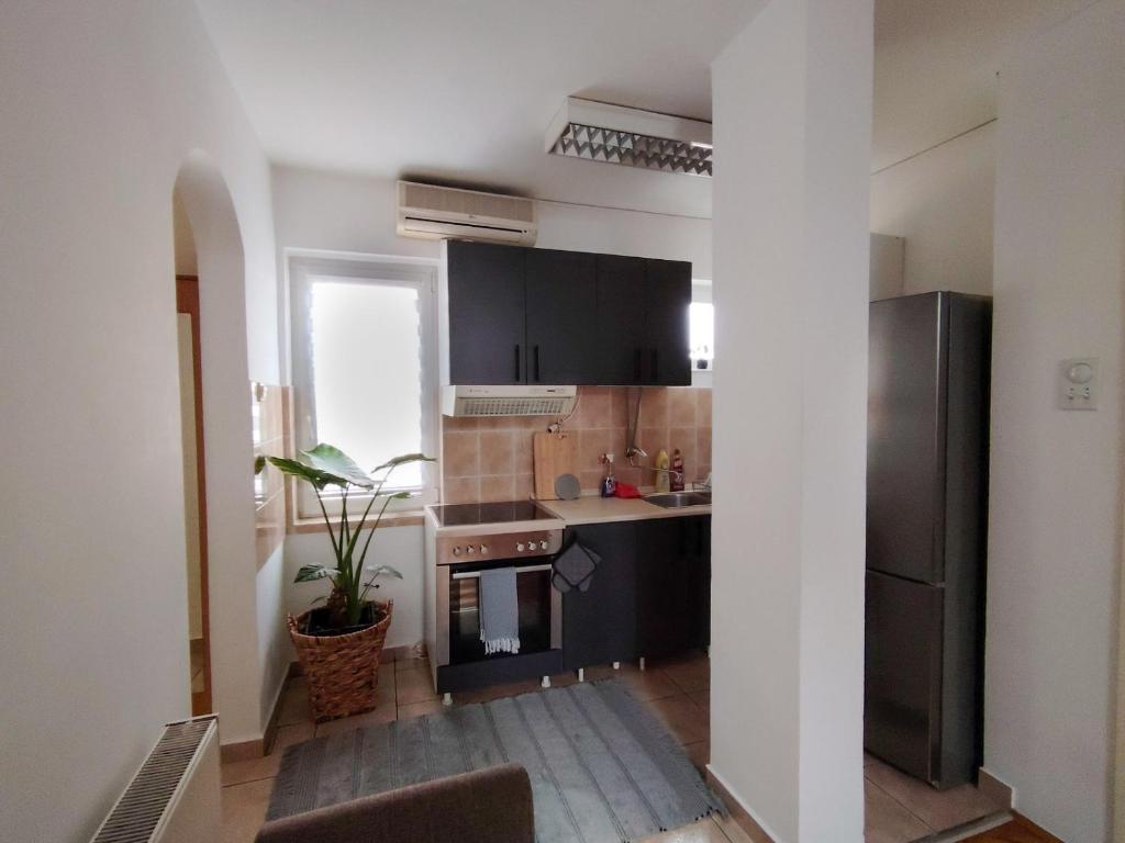Apartman Matica Srpska sa garazom - 4