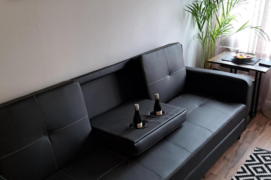 Apartment - Sleeps 4 - Pet friendly - Parking, Troon