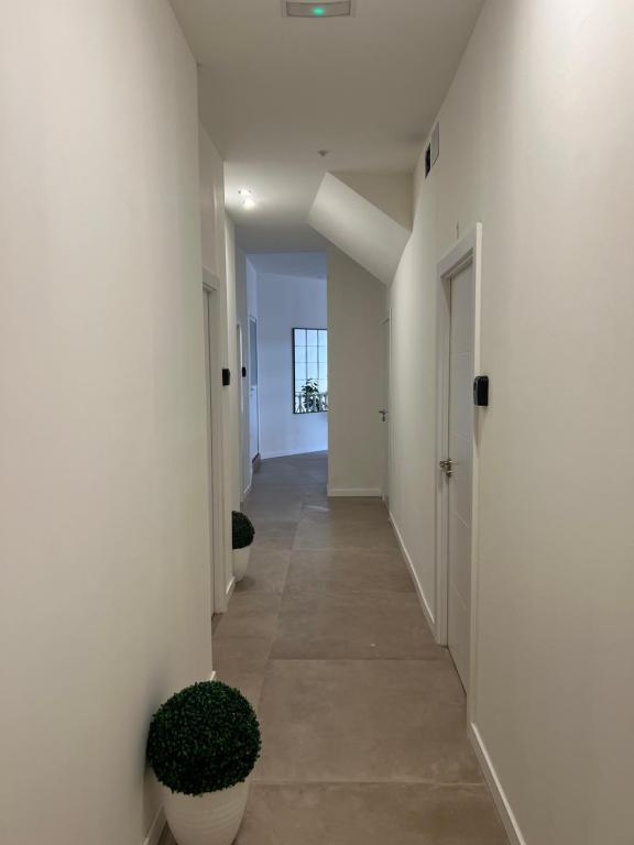 Boutique Apartaments Córdoba - 5