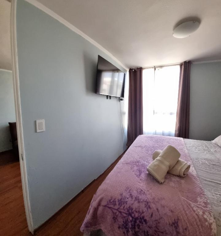 Departamentos centro moneda22 - 3