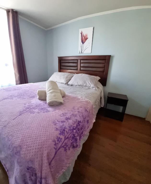 Departamentos centro moneda22 - 2