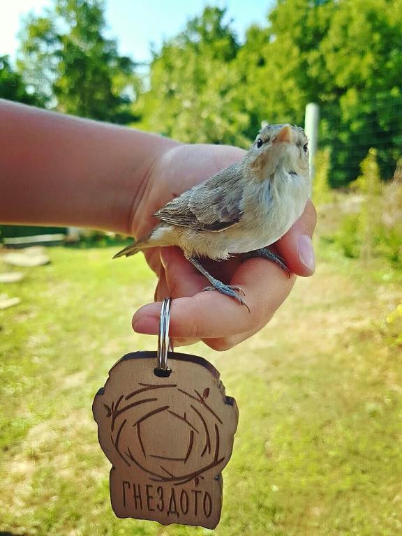 Бунгала Гнездото Bungalows The Nest 1, Lozenec