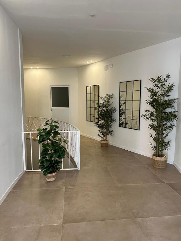 Boutique Apartaments Córdoba - 3