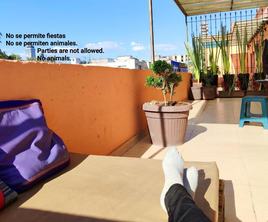 Downtown apartmen with private terrace - 3