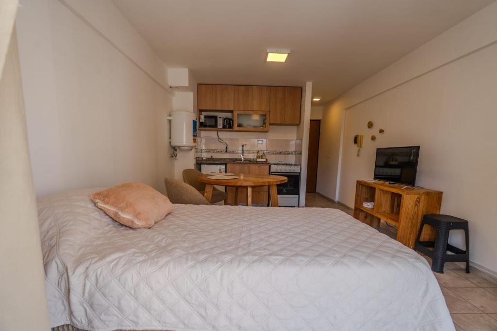 Colón 251 Monoambiente con Balcón - 5