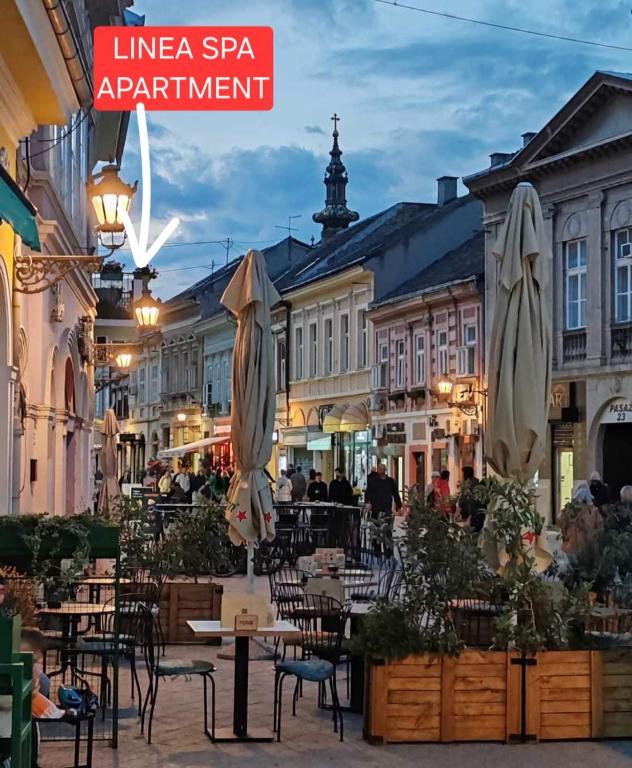 Linea Spa Apartment, Novi Sad
