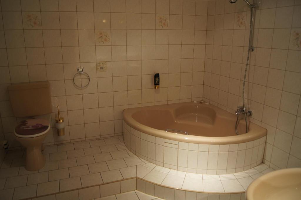 Hotel Draschwitz photo