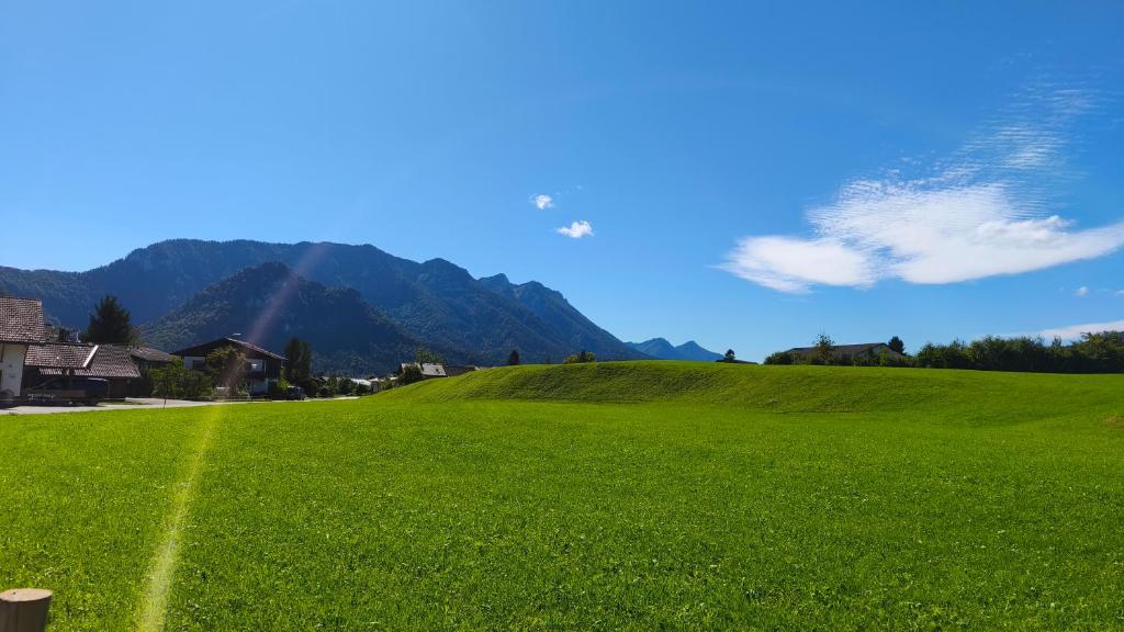 Alpen-Oase - 2