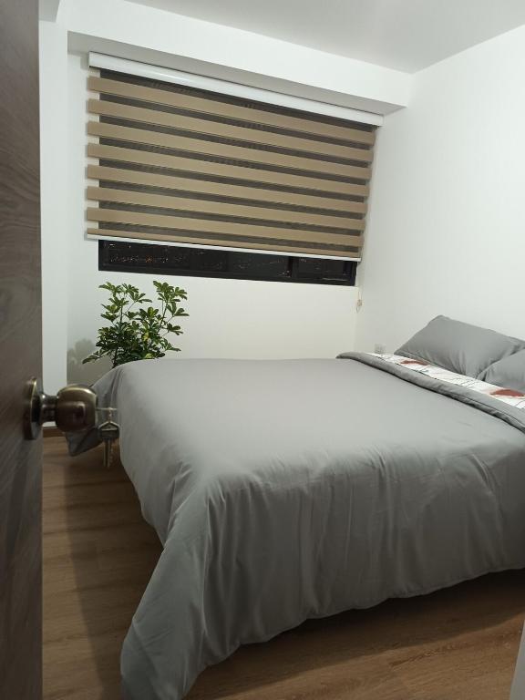 Edificio Simone - Departamento - 4