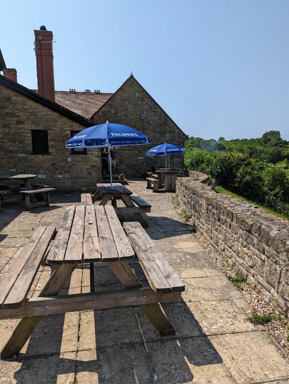 Three Horseshoes Inn, Powerstock photo 8