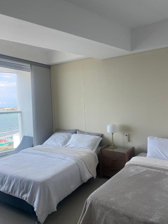 Luxury Ocean View - Bocagrande - 4
