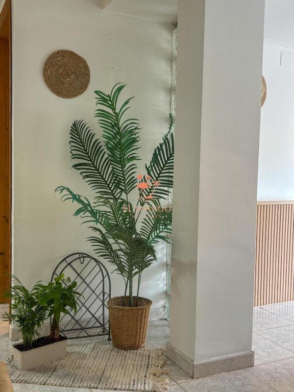 Studio Villamartin - 5