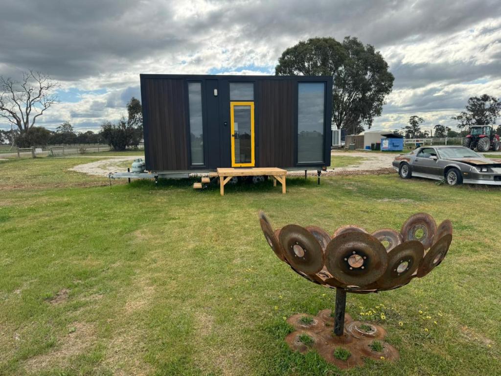 Great Success Stud by Tiny Away, Tongala