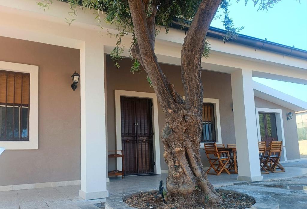 Villa Palma - 2