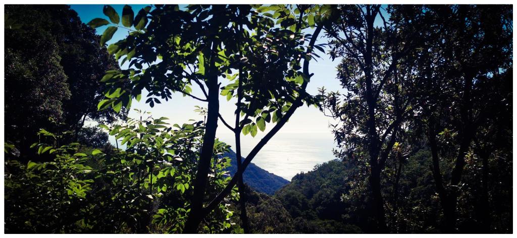 Sans Murs Dans la Nature, San-Martino-di-Lota
