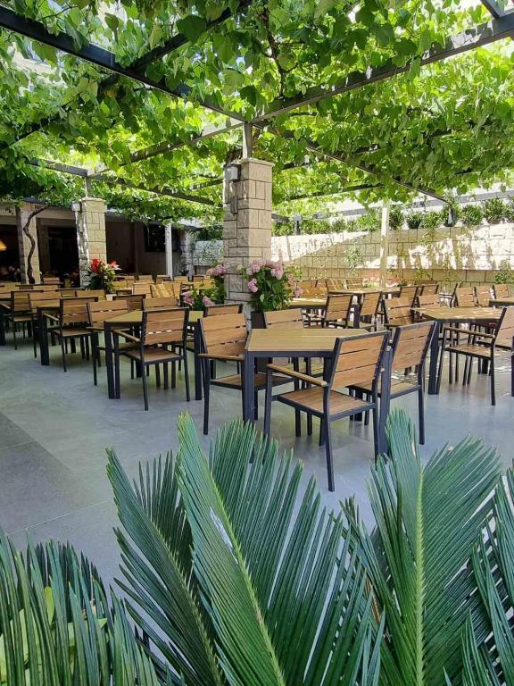 Hotel Lobo Budva - 2