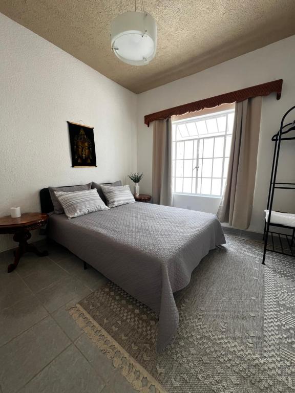Centrally located and cozy accommodation in CDMX - 3