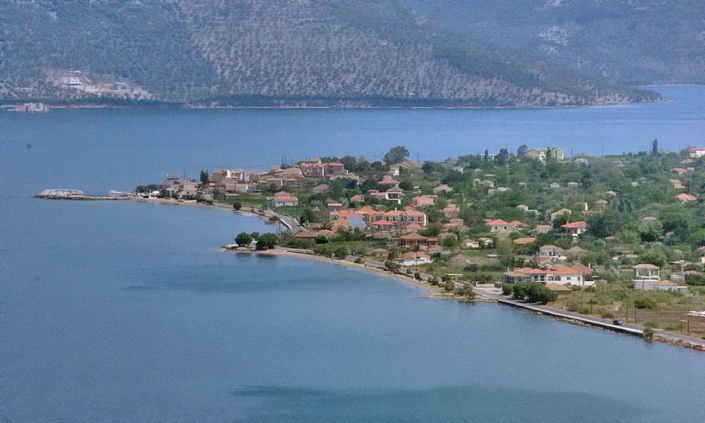Gera Bay Studios And Apartments photo
