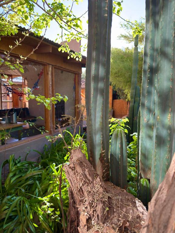 turisolcor atacama, San Pedro de Atacama