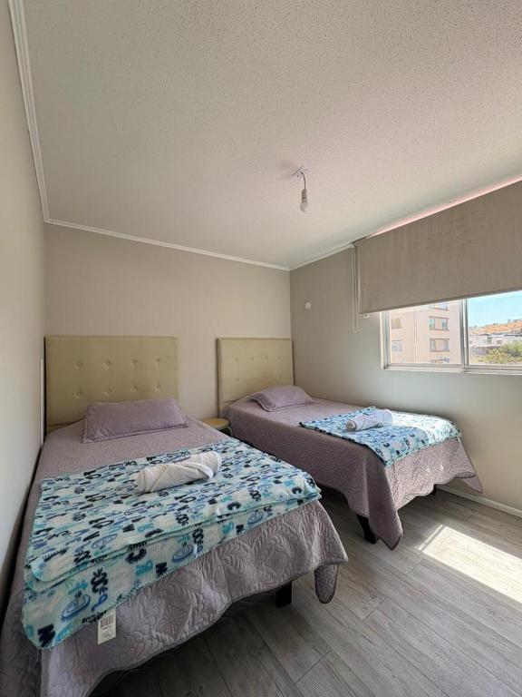 Departamento equipado 206B Ovalle - 3