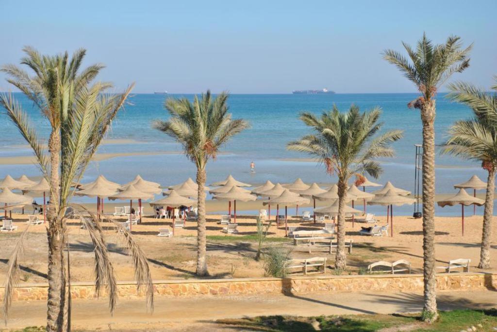 One Bedroom Chalet at Gardenia Al Wadi photo