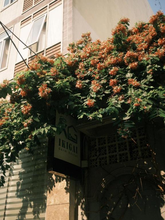 IKIGAI Dorm Hostel - Danang Beach