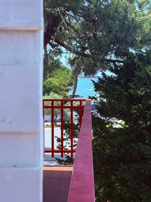 T2, 50 m beach, balcony with sea view - 2